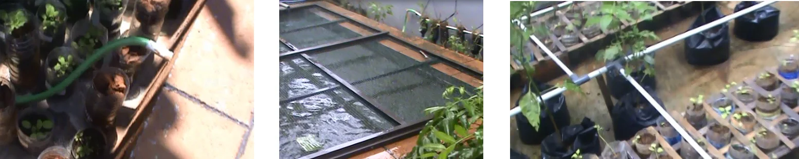 pemanfaatan limbah air wudu 3