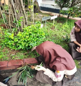 Penanaman Tanaman Hias SMP 1 Bae Kudus